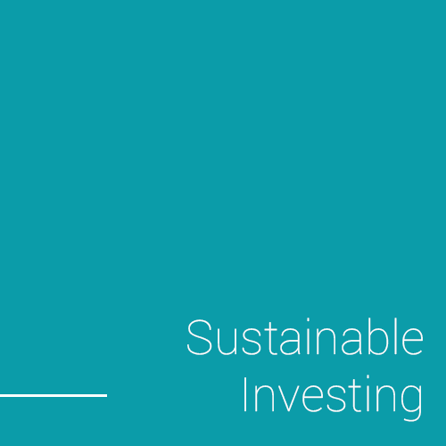sustainble responsible investing
